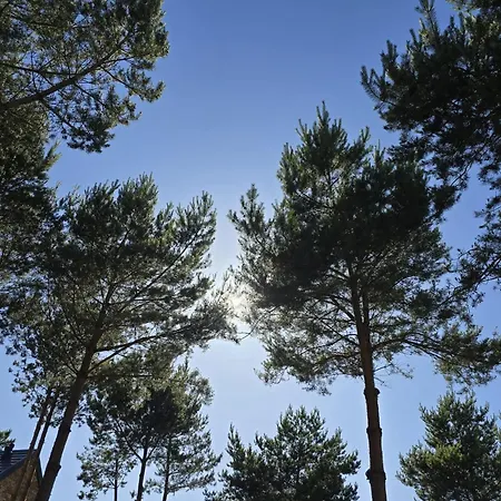 A Morze Jastrzebia Gora Rozewie