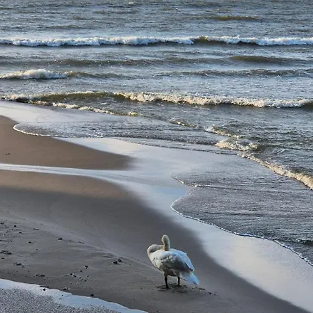 A Morze Jastrzebia Gora Vakantiehuis Rozewie