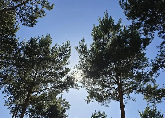 A Morze Jastrzebia Gora Rozewie